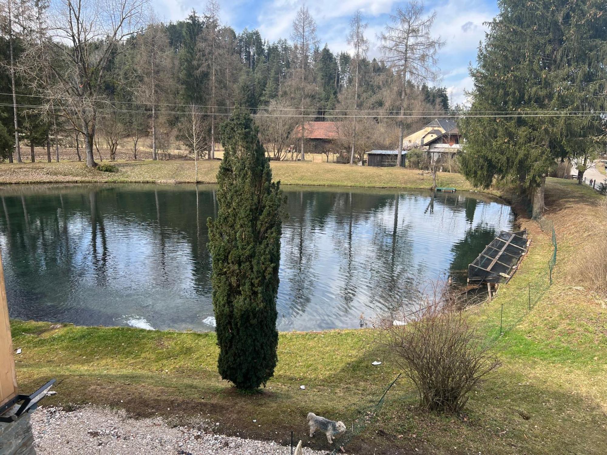 Haus Am Fischteich Feistritz ob Bleiburg Exterior foto