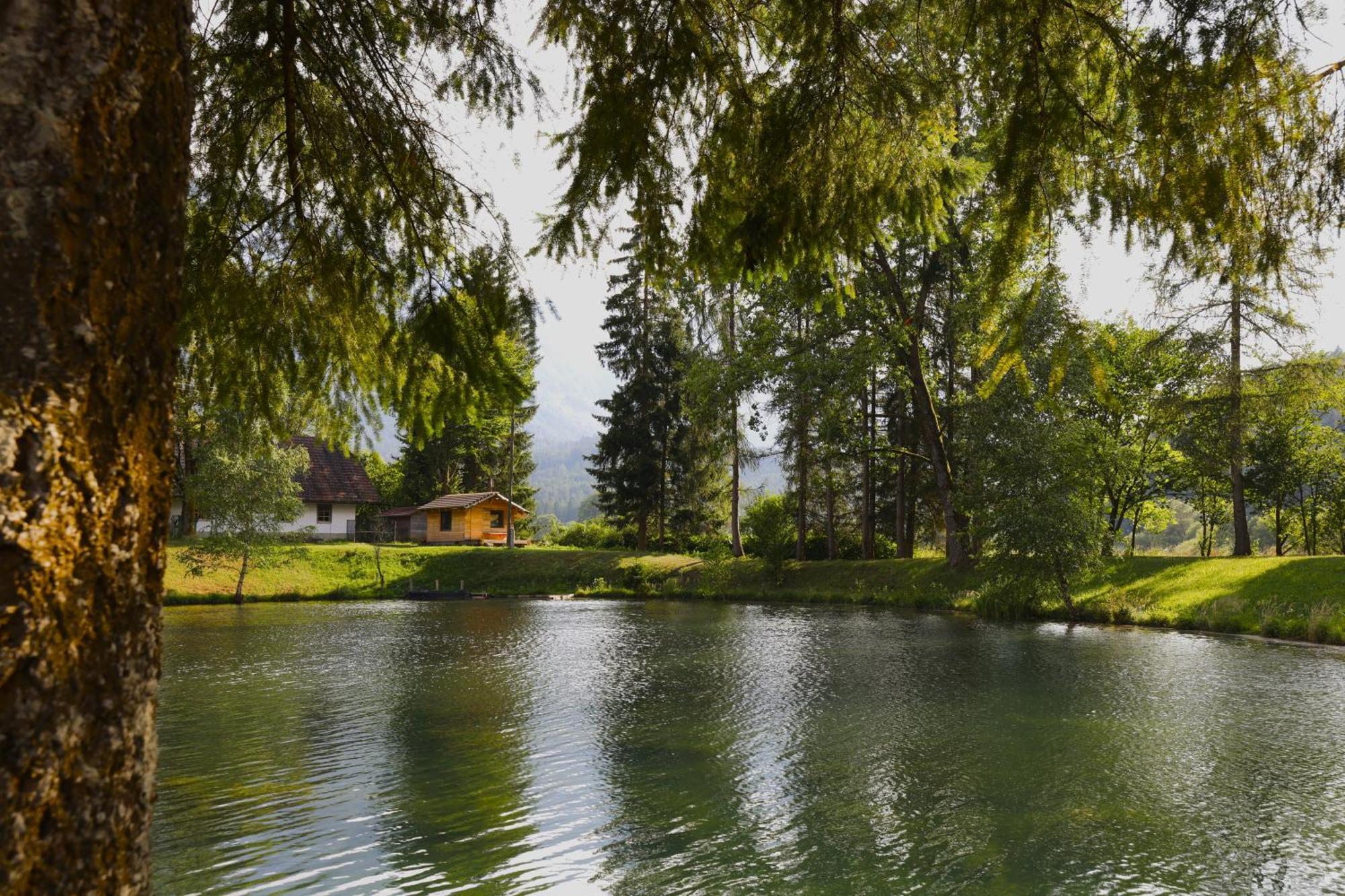 Haus Am Fischteich Feistritz ob Bleiburg Exterior foto